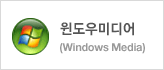 윈도우미디어(Windows Media)